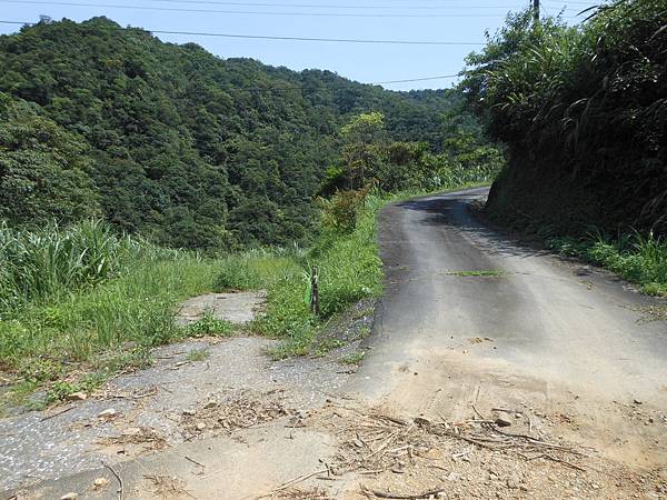 雙溪竹仔山古道 220