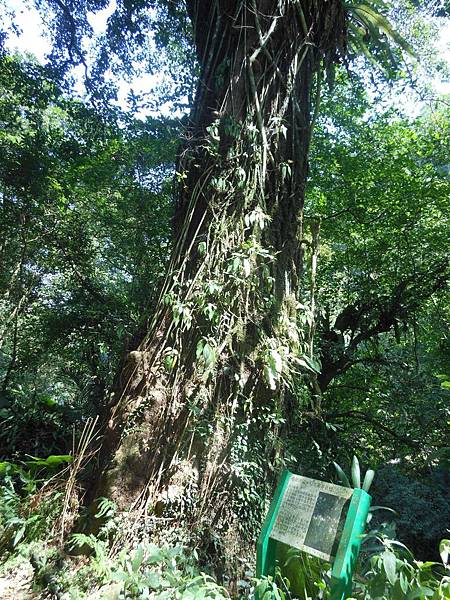 陽明山區一 150