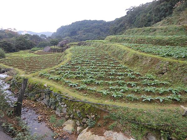 陽明山區2 325