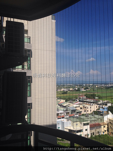 tangsheng-太子南科經典 (2).jpg