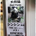 上野動物園 (6)