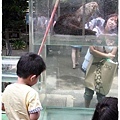 上野動物園 (9)