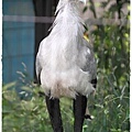 上野動物園 (17)