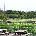 上野動物園 (24)