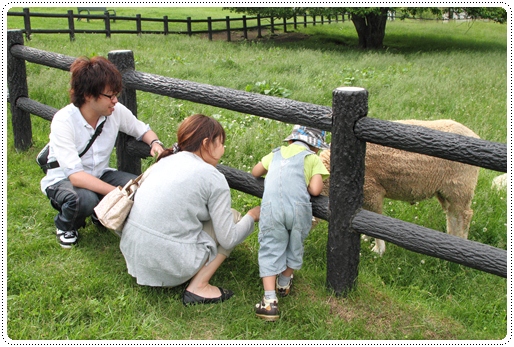 牧場公園 (10)