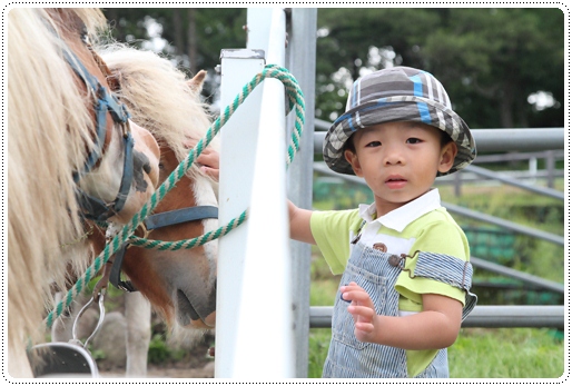 牧場公園 (20)