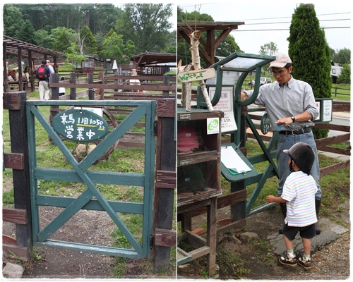 清里迷你馬場 (16)