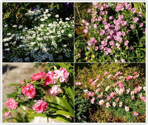 紅薔薇景觀餐廳 (25).jpg