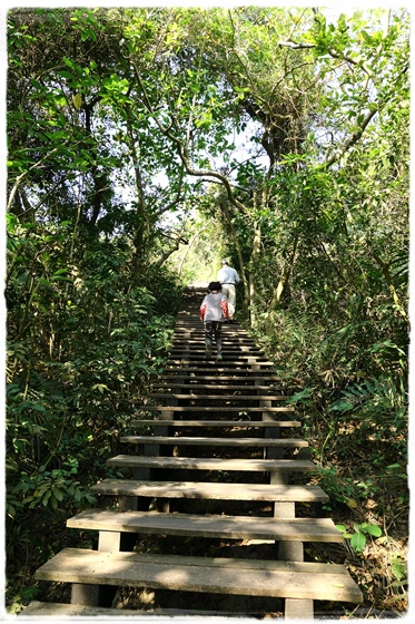 壽山登山步道 (12).JPG