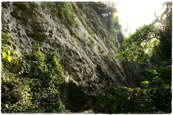 壽山登山步道 (15).JPG