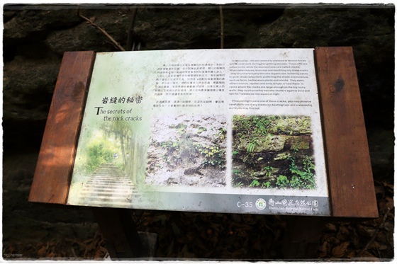 壽山登山步道 (32).JPG