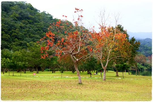 龍潭湖風景區 (9).JPG