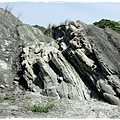 化石營 (9).JPG