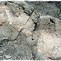 化石營 (11).JPG