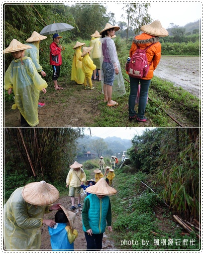 石虎米插秧 (2).jpg 石虎米插秧 (2).jpg