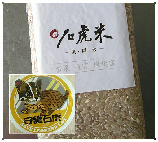 石虎米插秧 (4).jpg 石虎米插秧 (4).jpg