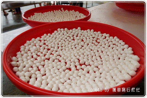 石虎米插秧 (9).jpg 石虎米插秧 (9).jpg