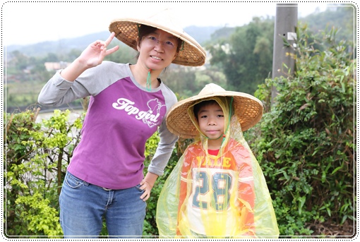 石虎米插秧 (12).JPG 石虎米插秧 (12).JPG