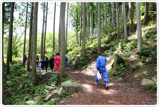 忍者之森 (9).JPG 忍者之森 (9).JPG