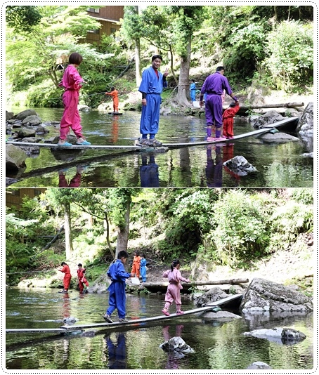 忍者之森 (24).jpg 忍者之森 (24).jpg