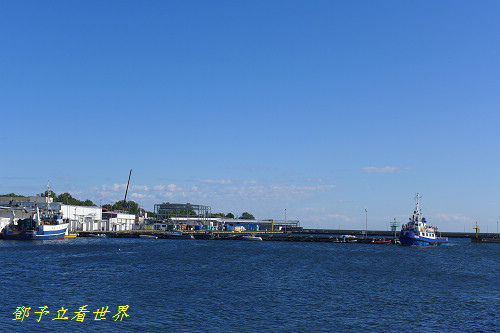 274.jpg