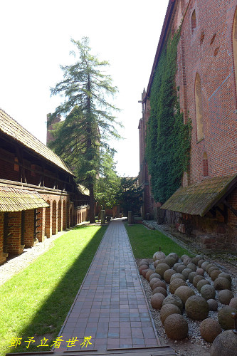 142.jpg