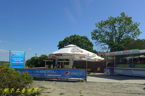 244.jpg