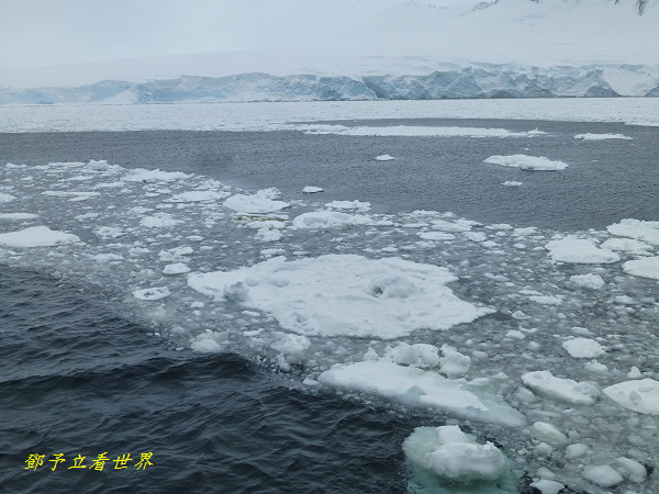 L1010823.jpg