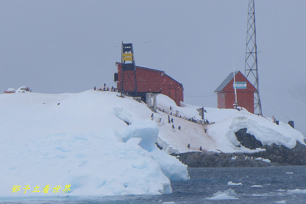L1100206.jpg