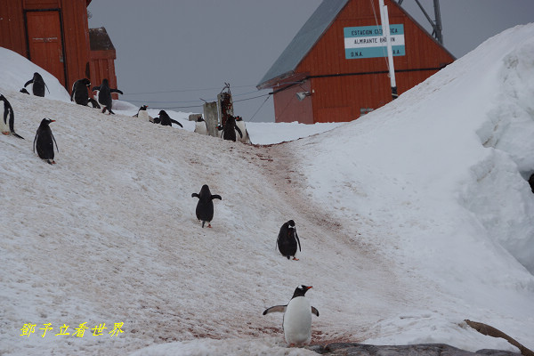 DSC00764.jpg