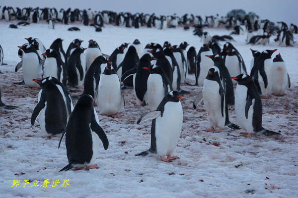 DSC00886.jpg