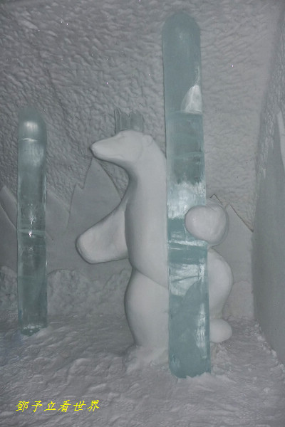 117.jpg