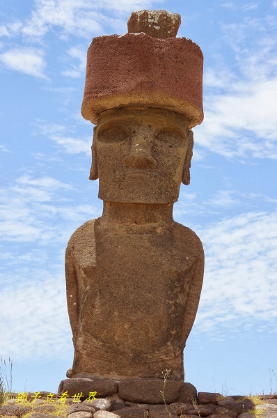 478.JPG