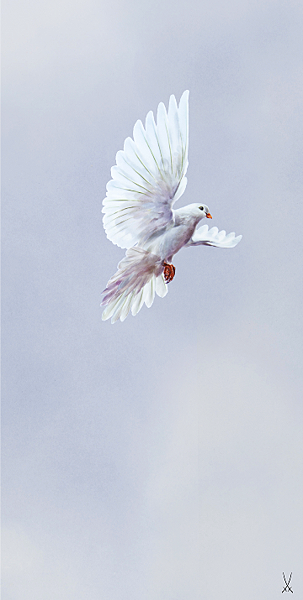 WHITE DOVE_wall picture_2019_meissen.png