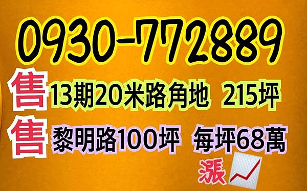 13期漲定了!   什麼!13期重劃台中市政府抵費地8米路拍