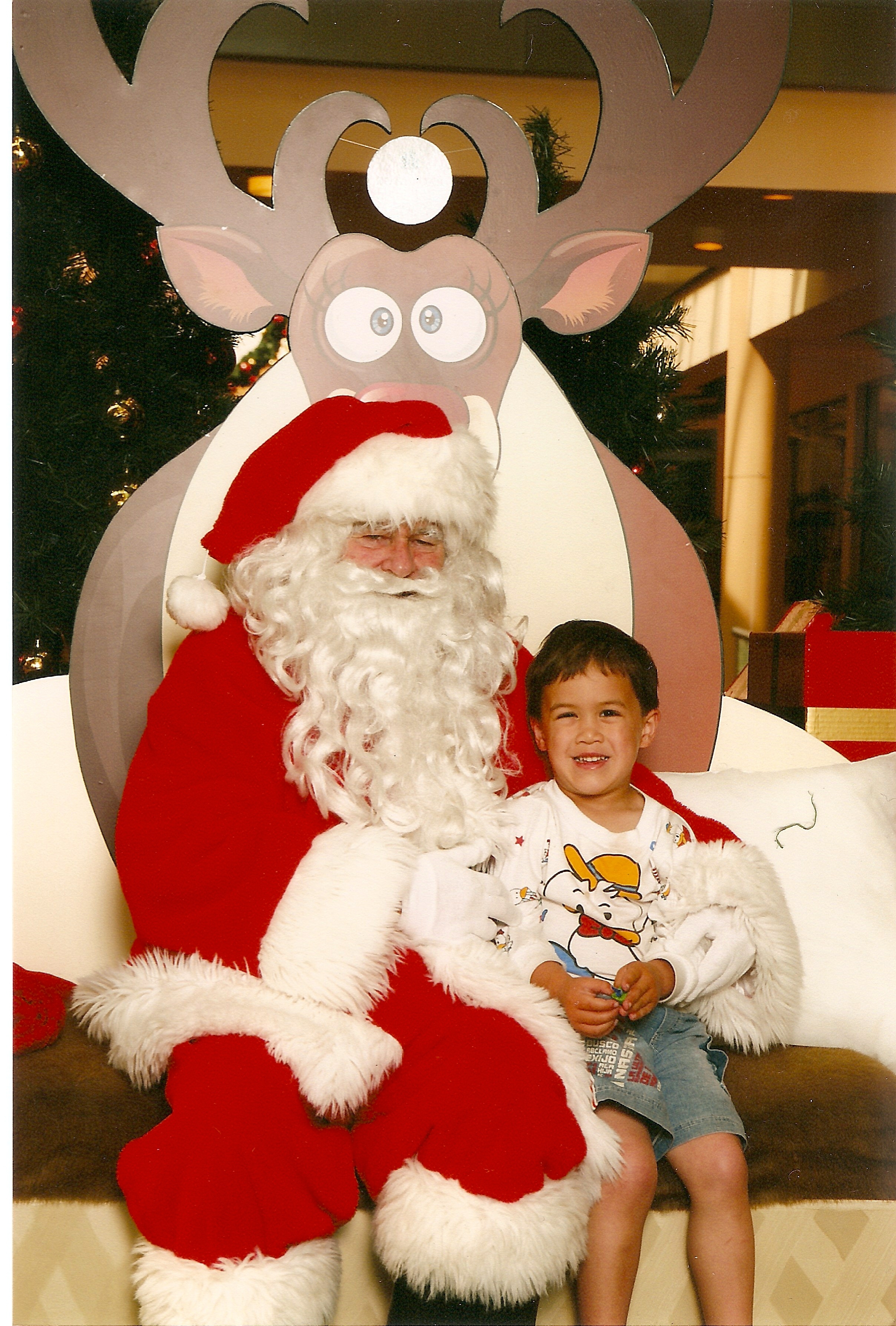 Photo Taking with Santa