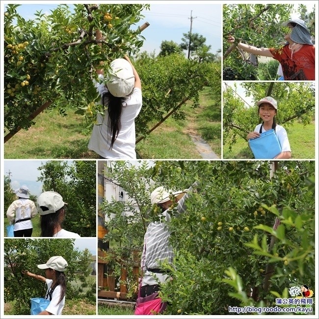 130801-紅瓦厝04