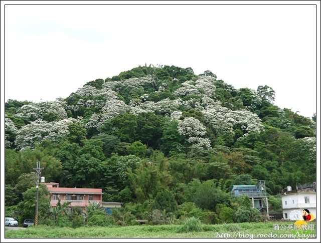 120429-03雲自在21