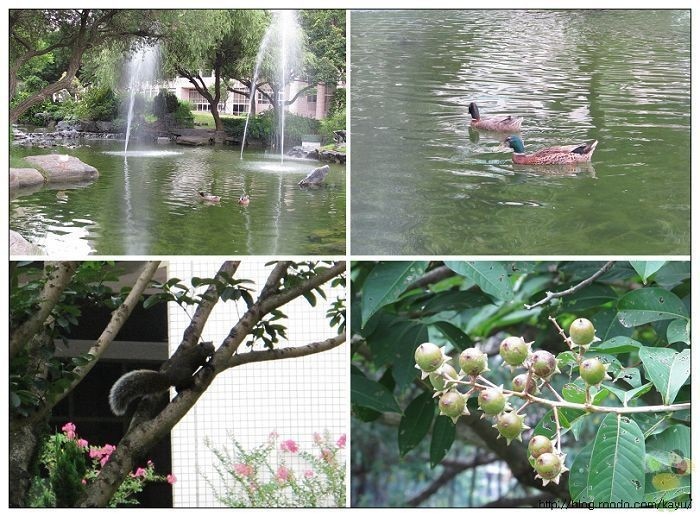 110820-交大小木屋鬆餅17校園