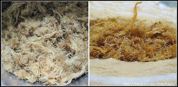 彰化 全香肉酥 新竹 利利號 蒲公英的飛翔 痞客邦