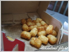 連鎖 達美樂 新竹園區店 蒲公英的飛翔 痞客邦