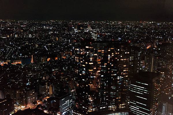 美的冒泡的夜景 (8)