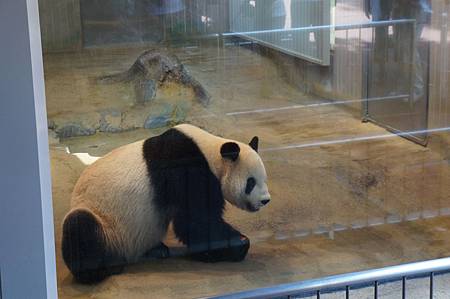 上野 上野動物園 東照宮 台北女子東京出張中 痞客邦 上野 上野動物園 東照宮 台北女子東京出張中 痞客邦