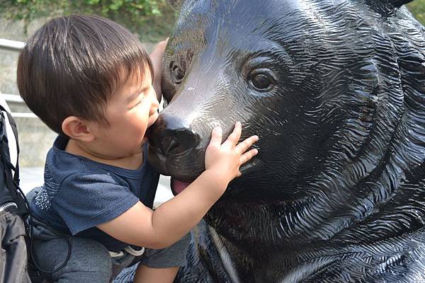 動物園 587