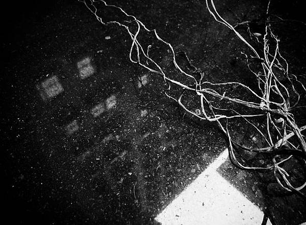 038.JPG_effected.jpg_effected 038.JPG_effected.jpg_effected