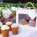 Flower Pot Cake.jpg