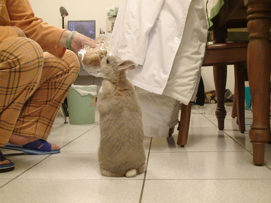 DSC00066.JPG DSC00066.JPG