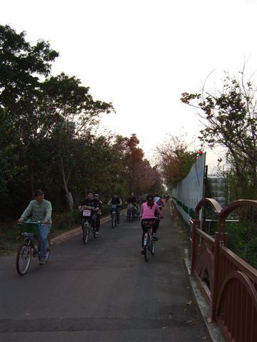 自行車道一景