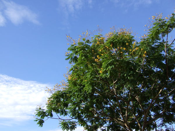 今天天空總算比較藍了