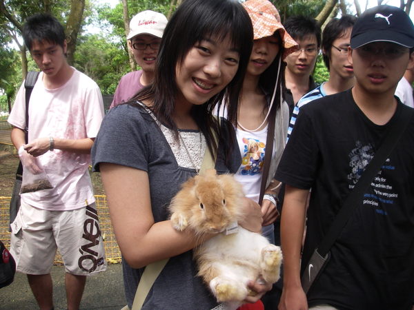 可愛動物區～有一隻肥肥的兔子可以給人抱著照相